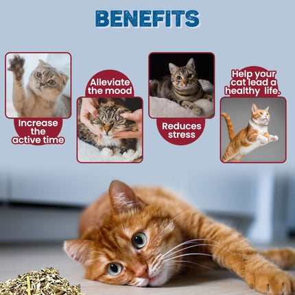 Trixie Premium Catnip for Cats 20g Online in India | Natural Catnip for Toys & Scratching Posts