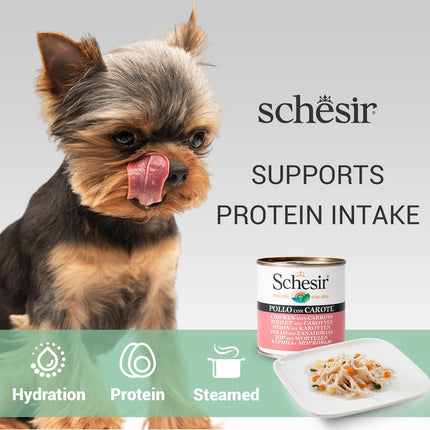 Schesir Chicken with Carrot Wet Food for Dogs, Real Meat Fillets in Jelly, Natural Protein-Rich Dog Food with Vegetables & Vitamins, 285 gm