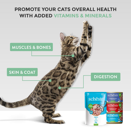 Schesir Tuna with Whitebaits Wet Food for Adult Cats, Natural Fish Fillets in Jelly, High Protein Cat Food, 85 Grams