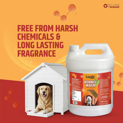 Lozalo Kennel Wash Liquid 5 Litre for Washing Dog Kennel & Flooring, Pet Shops, Veterinary Clinics & Grooming Salons (Red)