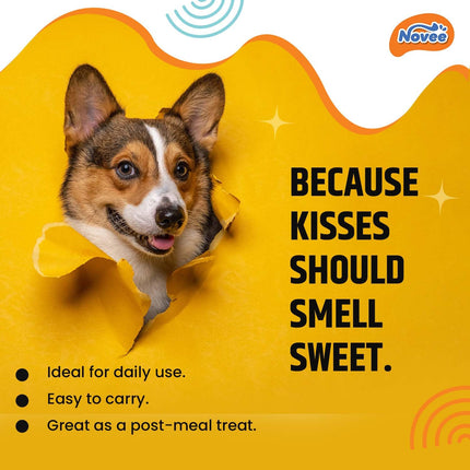 Novee Dental Care Mini Dog Treats – Star-Shaped Dental Chews for Oral Hygiene & Fresh Breath 65g