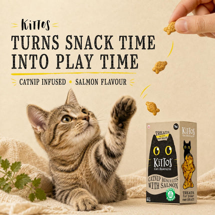 Kittos Cat Biscuits Salmon & Catnip Flavour 80g