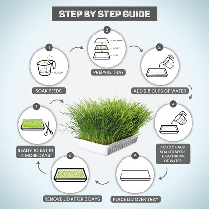 TRIXIE Cat Grass Seeds Barley Cat Grass Refill Bag – Natural Digestive Support  for Cats & Kittens