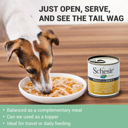 Schesir Chicken with Pumpkin Wet Food for Dogs, Real Meat Fillets in Jelly, Natural Protein-Rich Dog Food with Vegetables & Vitamins, 285 g (Chicken with Pumpkin)