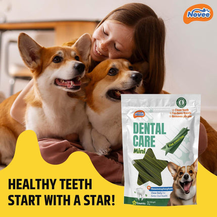 Novee Dental Care Mini Dog Treats – Star-Shaped Dental Chews for Oral Hygiene & Fresh Breath 65g
