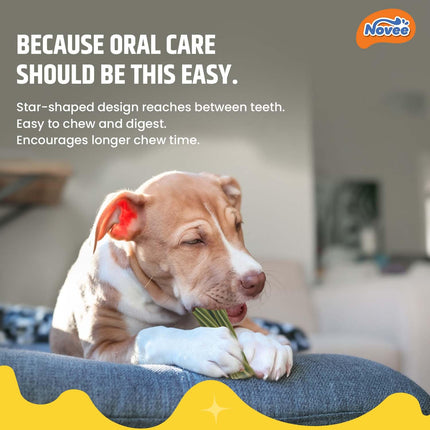 Novee Dental Care Mini Dog Treats – Star-Shaped Dental Chews for Oral Hygiene & Fresh Breath 65g