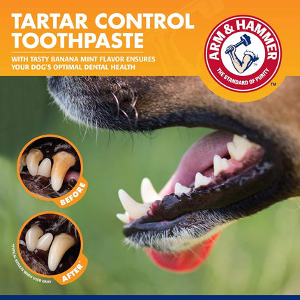 Arm & Hammer Tartar Control Dental Kit for Dogs – Banana Mint Flavor | Advanced Dog Oral Care Kit