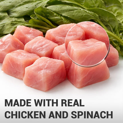 Schesir Chicken & Rice with Spinach Wet Food for Dogs – Real Chicken Fillets in Jelly | 285g