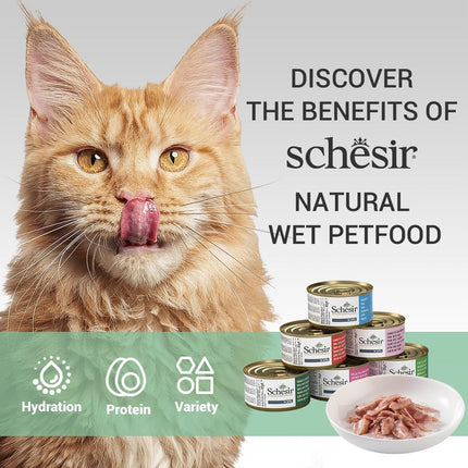 Schesir Tuna with Salmon Wet Food for Adult Cats, Natural Fish Fillets in Jelly, High Protein Premium Cat Food, No Artificial Preservatives, 85 Grams