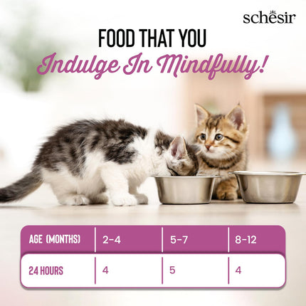 Schesir Baby Cat Mousse – Chicken & Liver, Nutritious Grain-Free Wet Food for Weaning Kittens | Soft, High-Protein Mousse with Taurine for Healthy Growth & Vitality 70g