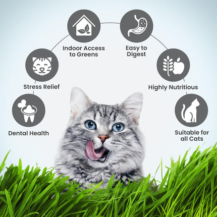 TRIXIE Cat Grass Seeds Barley Cat Grass Refill Bag – Natural Digestive Support  for Cats & Kittens