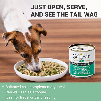 Schesir Chicken & Rice with Spinach Wet Food for Dogs – Real Chicken Fillets in Jelly | 285g
