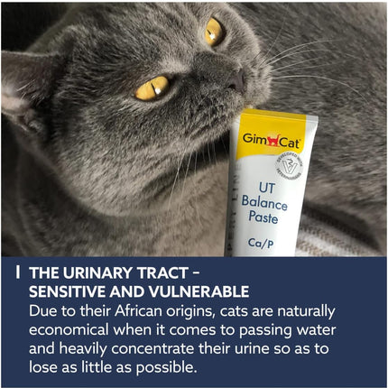 GimCat UT Balance Paste for Cats Urinary Support