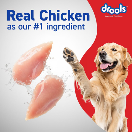 Drools Adult Optimum Performance 20kg