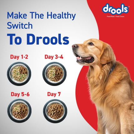 Drools Adult Optimum Performance 20kg