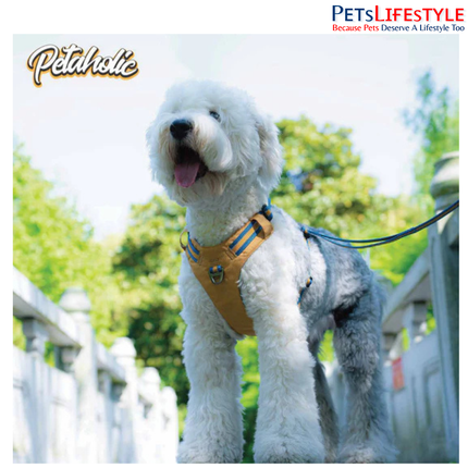 Petaholic Outdoor Tracker Series Dog Harness Plateau | No-Pull Reflective Breathable Adventure Harness