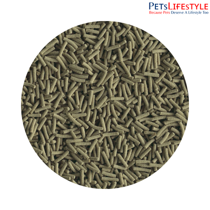 Tetra ReptoMin Premium Complete Food for Adult Turtles 36% High-Quality Protein Supports Shell & Bone Health Odour-Reducing Formula