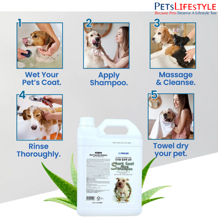 Forcans Short Coat Aloe Dog Shampoo – Aloe Vera Nourishing Shampoo for Short-Haired Dogs