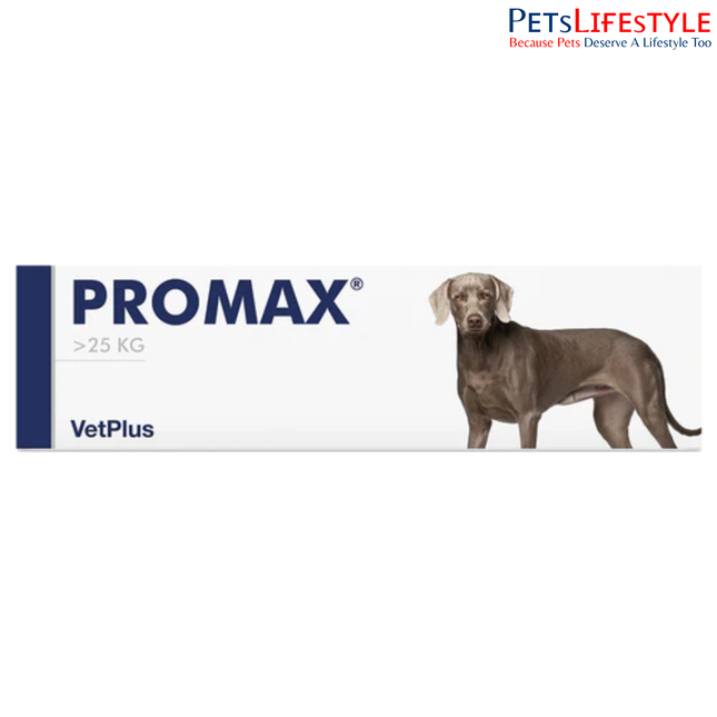Vetplus Nutraceutical Supplement Promax for Dog (Large Breed 30 ml) Digestive Probiotic Supplement