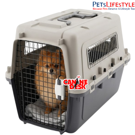 Canine Desk Flight Carrier (24" × 14" × 16") | IATA Approved Airline Travel Crate for Dogs & Cats (Medium)