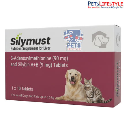 Silymust Liver Support Tablets for Small Dogs & Cats (Up to 5.5 kg)