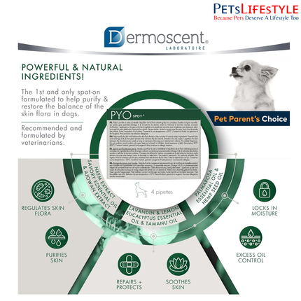 Savavet Dermoscent Pyospot Purifying Spot On for Dogs Between 0 to 10kg (0.6ml x 4 Pipette)