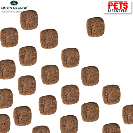 Arden Grange Senior with Fresh Chicken & Rice – Premium Nutrition for Senior Dogs