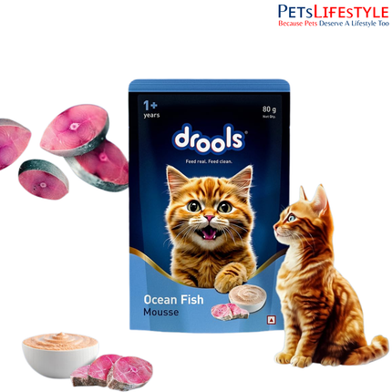 Drools Cat Mousse Ocean Fish Wet Cat Food 80g High Protein Smooth Texture