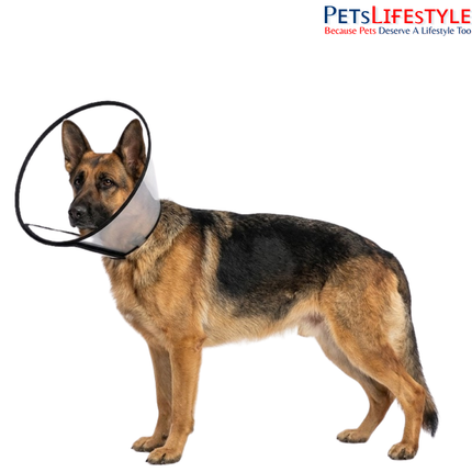 Elizabethan Collar for Dogs, Cats & Rabbits – Protective Recovery Cone (E-Collar)