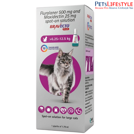 MSD Animal Health Bravecto 500mg (Fluralaner) Spot On for Large Cats (1 tube) Spot-On Tick, Flea & Worm Treatment – 6.25–12.5kg