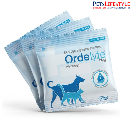 Ordelyte Pet