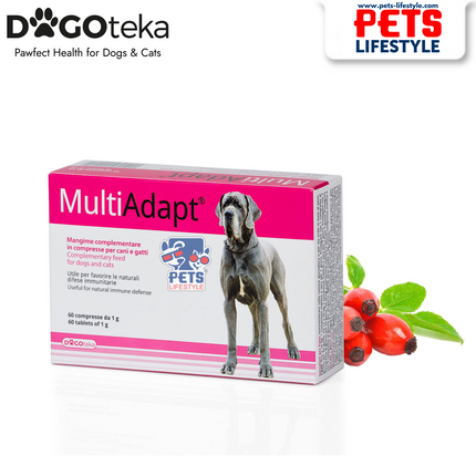Dogoteka MultiAdapt – Advanced Multivitamin & Energy Support Pets