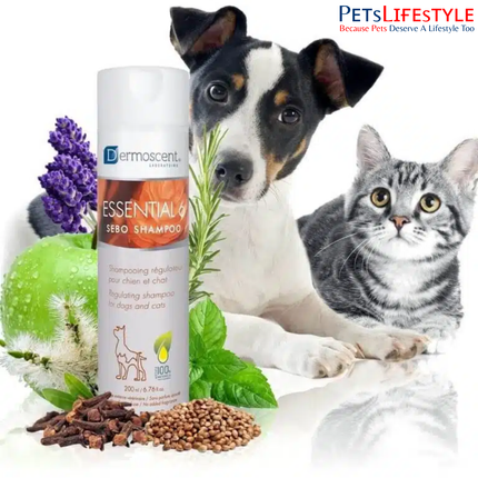 Savavet Dermoscent Essential 6 Sebo Shampoo for Dogs & Cats – Sebo-Regulating Anti-Dandruff Shampoo (200 ml)