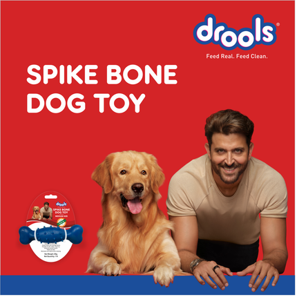 Drools Non- Toxic Rubber Spike Bone Dog Toy, PuppyDog Teething Toy