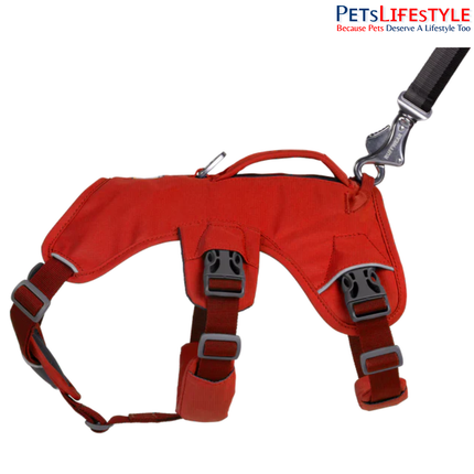 Ruffwear Web Master Dog Harness | Supportive Multi-Use Harness for Assistance, Hiking & Working Dogs