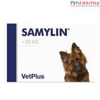 Large Breed Dog