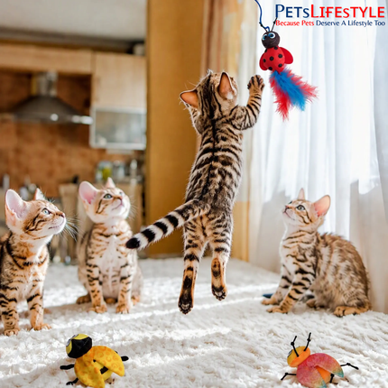 FOFOS Cat Toy – Bee, Bug & Ladybug with Wand