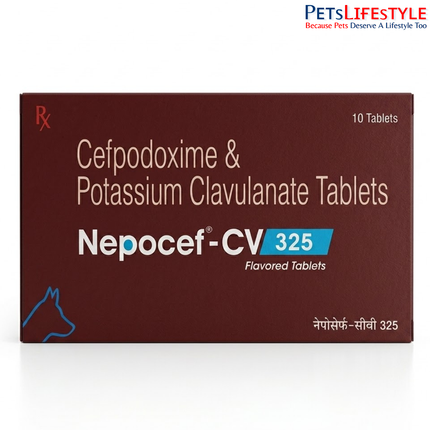 Nepocef-CV 325 mg Tablets for Dogs – Advanced Antibiotic Support for Canine Pyoderma & Bacterial Infections