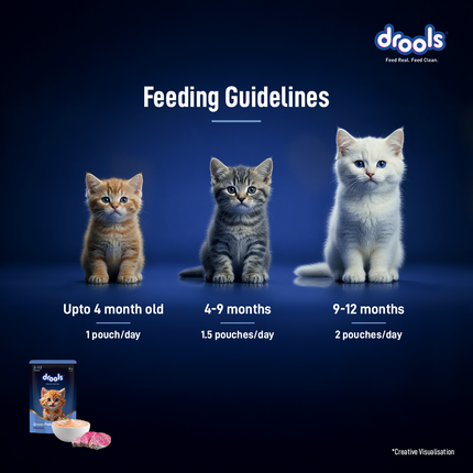 Drools Ocean Fish Mousse Kitten 80g (5+1 Pack)