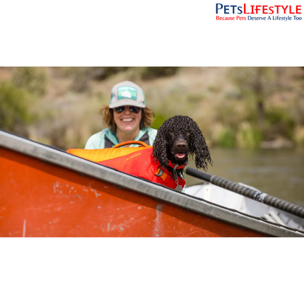 Ruffwear Confluence Dog Collar | Waterproof & Stink-Proof Adventure Dog Collar