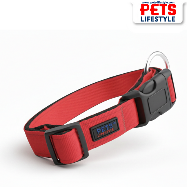PᴇᴛsLɪғᴇsᴛʏʟᴇ Comfort Microfiber Flat Dog Collar – Red