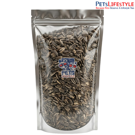 Petslifestyle Premium Sunflower Seeds (500g) – High Energy Bird Food for Parrots & Exotic Birds