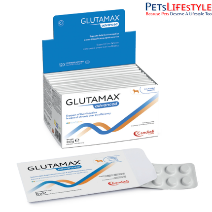Glutamax Advanced Liver Support Tablets for Dogs & Cats Chronic Liver Care (120 Tablets)