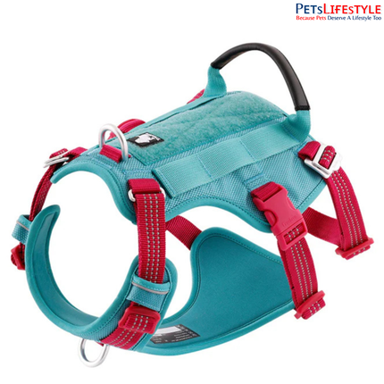 Truelove Escape Proof Dog Harness – Pool Blue – Double H-Design Safety Harness for Strong Dogs
