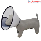 (No. 02) Cat to Puppy (Toy Breeds)