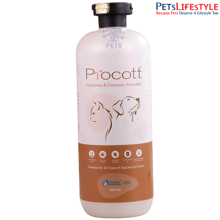 Intas Procott Natural Protecting Shampoo