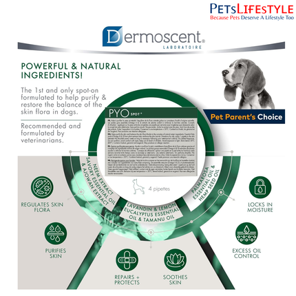Savavet Dermoscent Pyospot Purifying Spot On for Dogs Between 10 to 20kg (1.2ml x 4 Pipette)