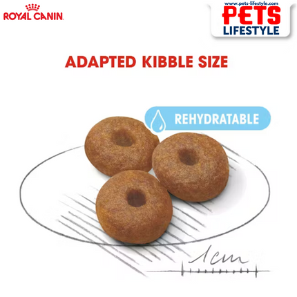 Royal Canin Maxi Breed Starter Puppy Food