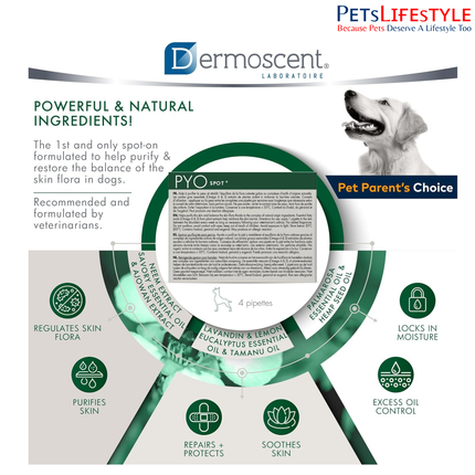 Savavet Dermoscent Pyospot Purifying Spot On for Dogs Between 20 to 40kg (2.4ml x 4 Pipette)