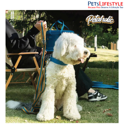 Petaholic Outdoor Tracker Series Dog Collar Plateau Mustard | Ultralight Reflective Adjustable Collar